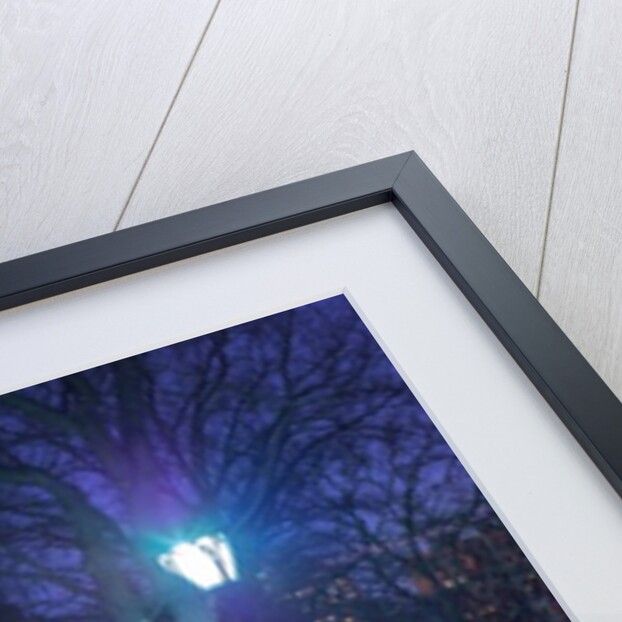 Central park, New York by Assaf Frank